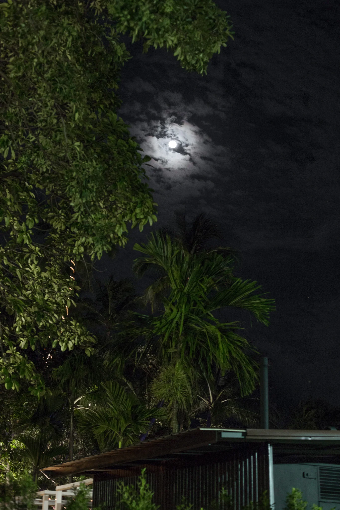 The moon shines bright over the Sunday Night Market 
