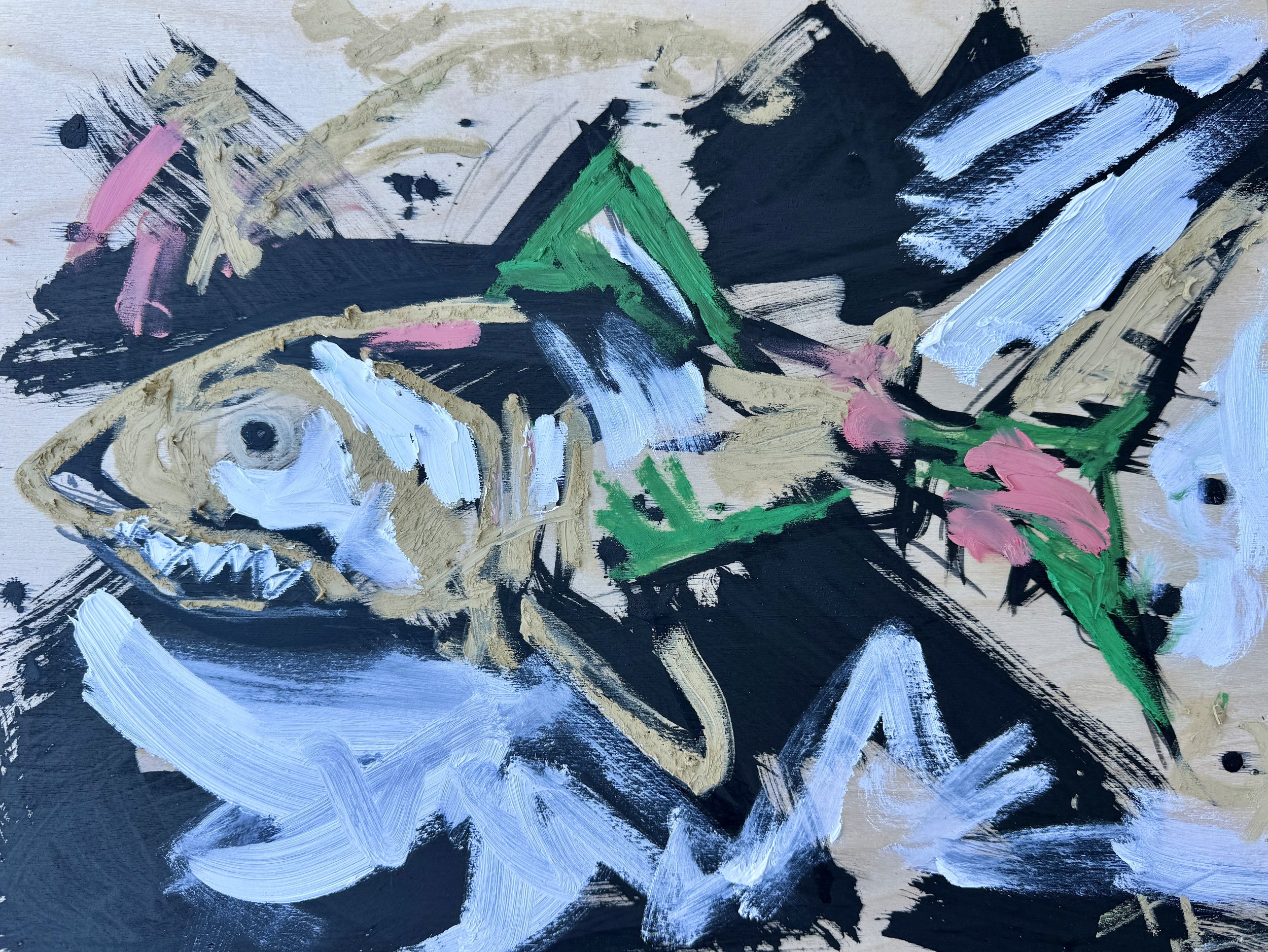 Shark 1.JPG