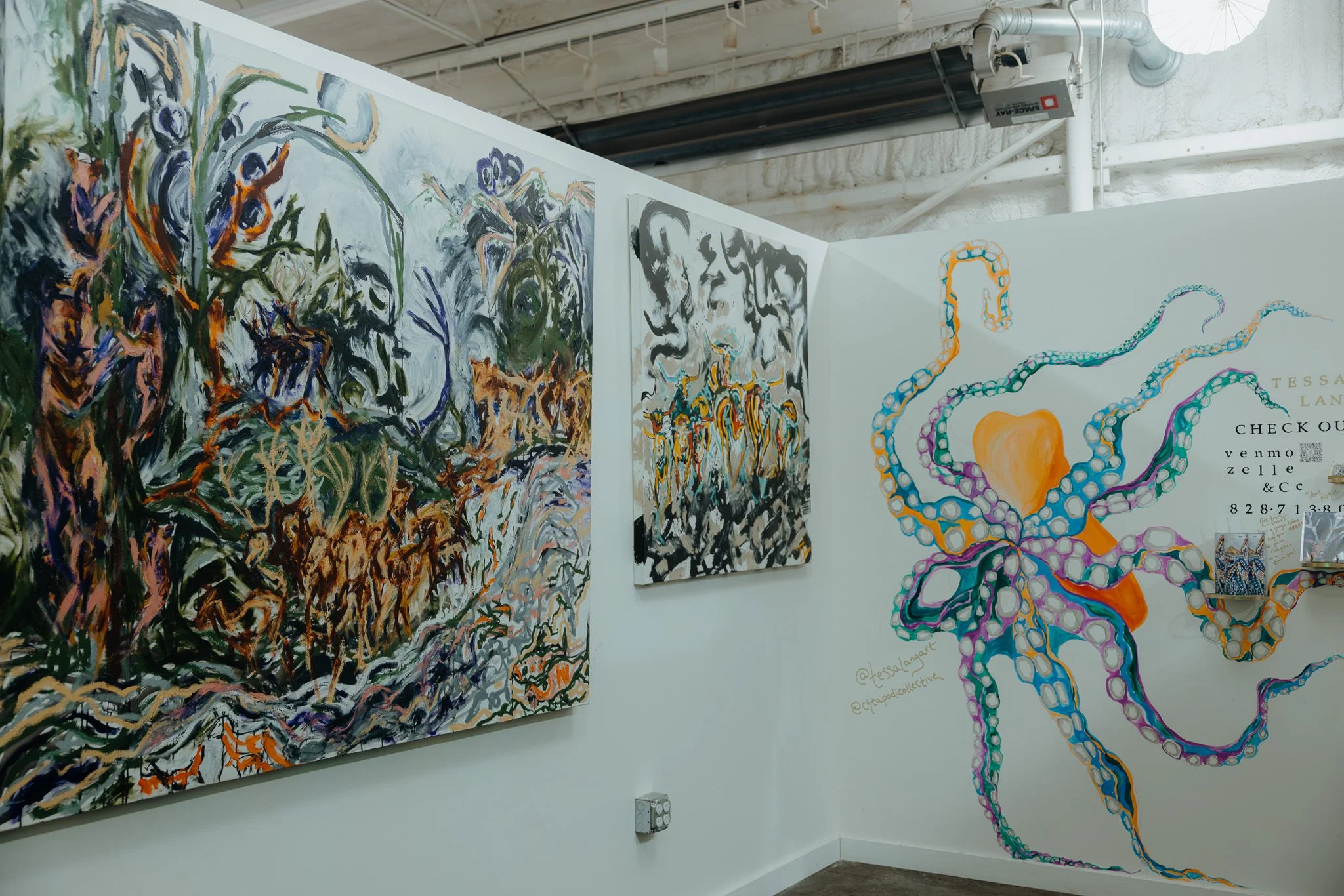 Tessa Lang Gallery Asheville.JPG