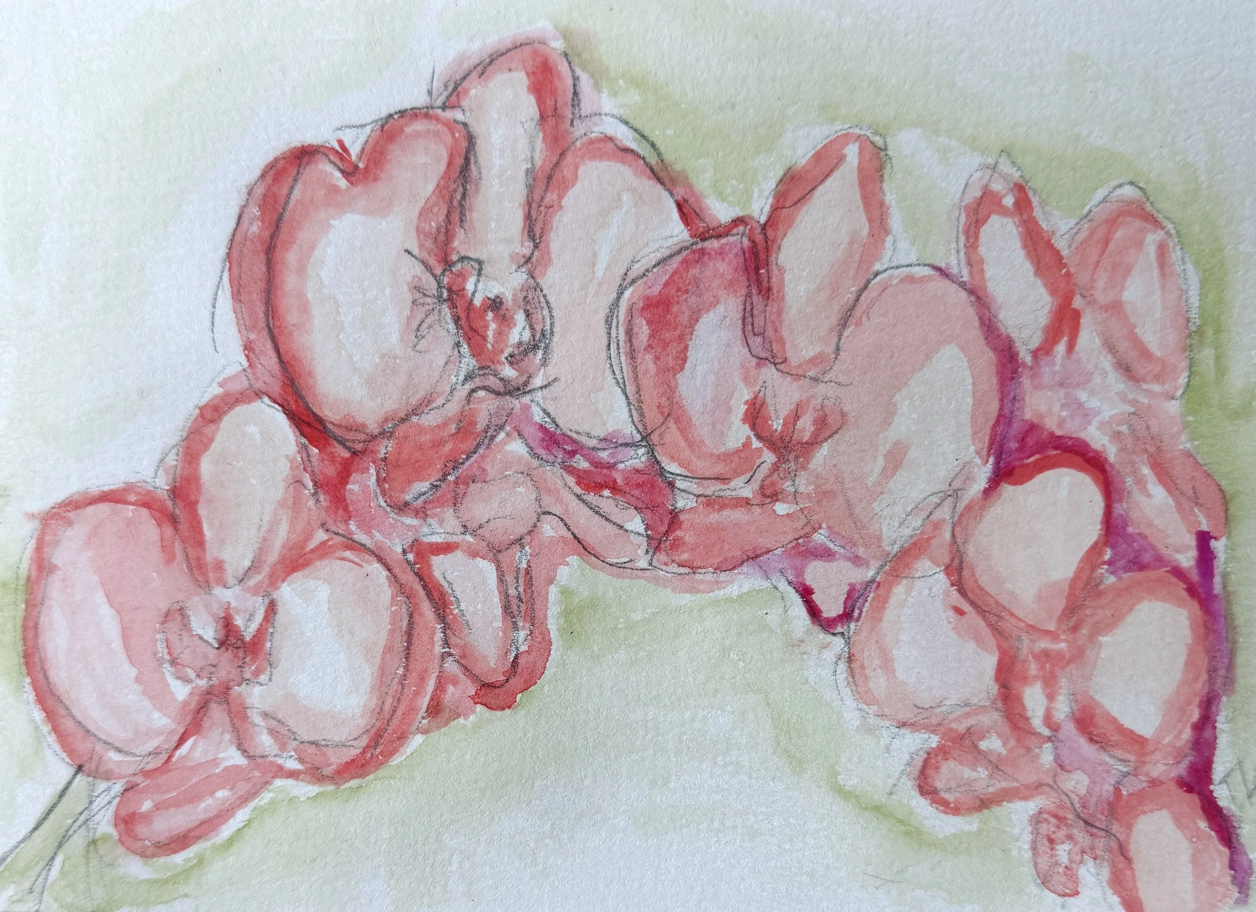 Floating Orchids.jpg