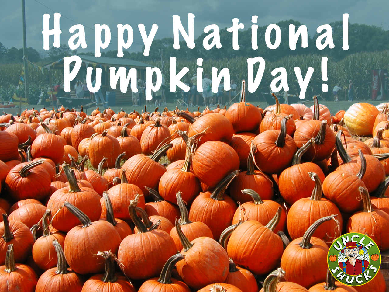 Pumpkin Day Uncle Shucks photo.png