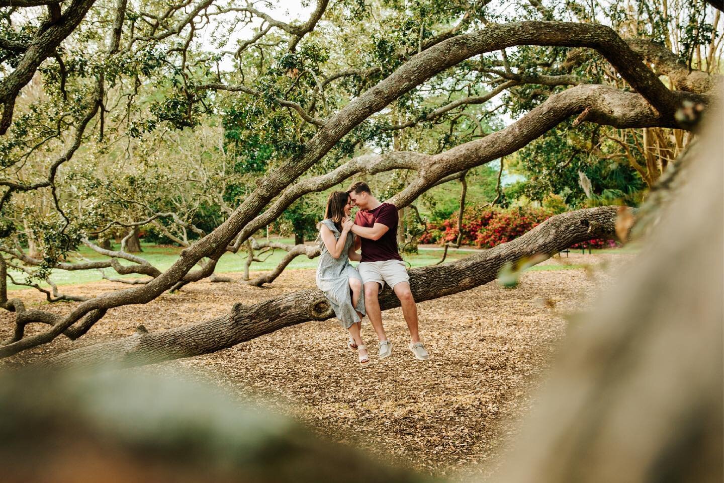 Tory and Kelsey sittin&rsquo; in a (really fricken cool) tree ✨
