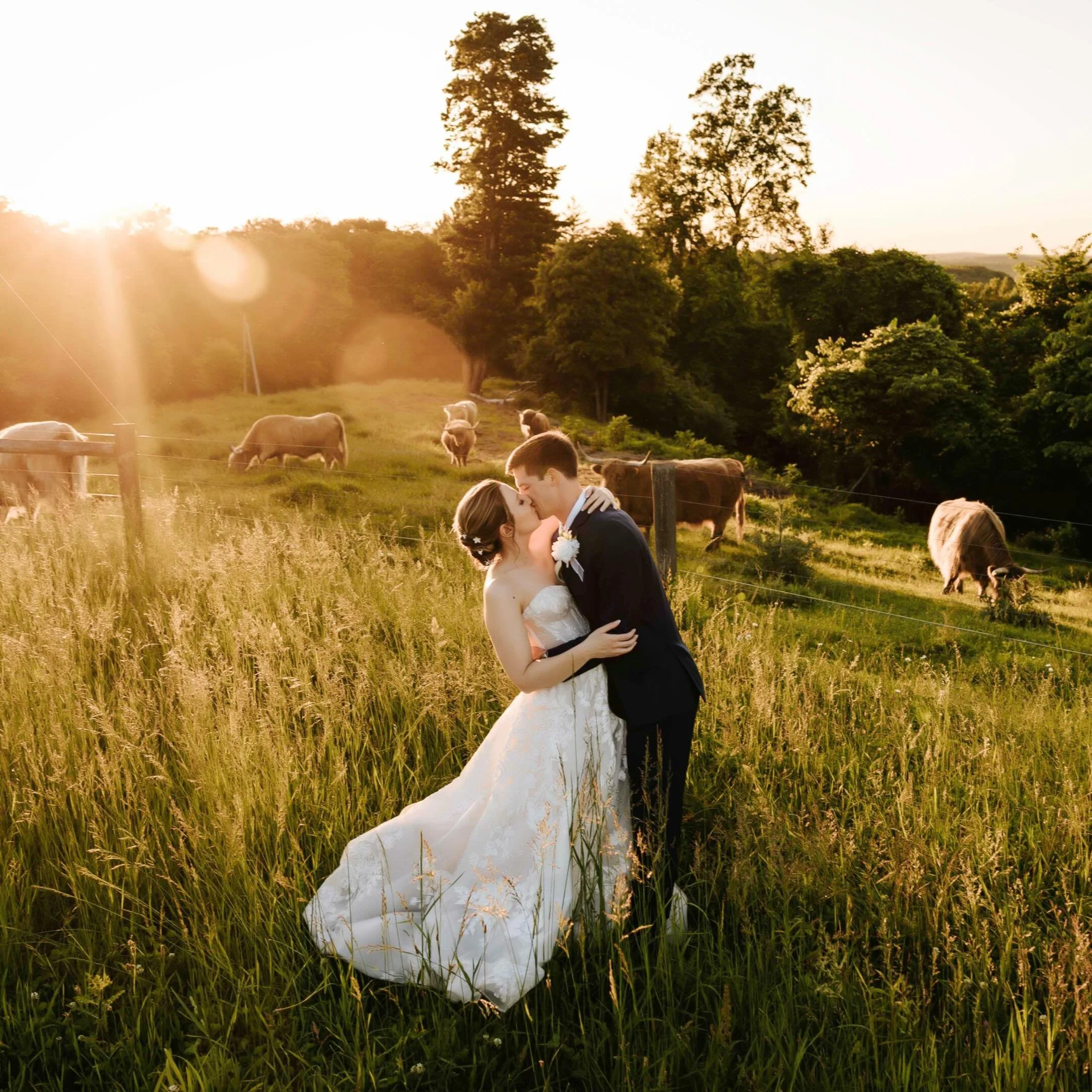Umm, ARE YOU JOKING!? 

Had the best, best time closing out our May weddings with Aaron &amp; Rebecca!! Portraits with highland cows at golden hour!? SIGN ME UP!! I can NOT wait to share more of this perfect day at the most beautiful venue!! 🤩

Cong