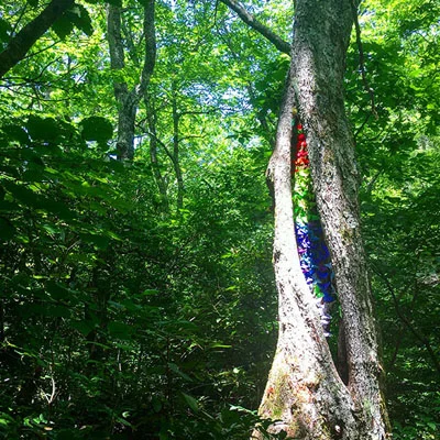 Trees3.jpg