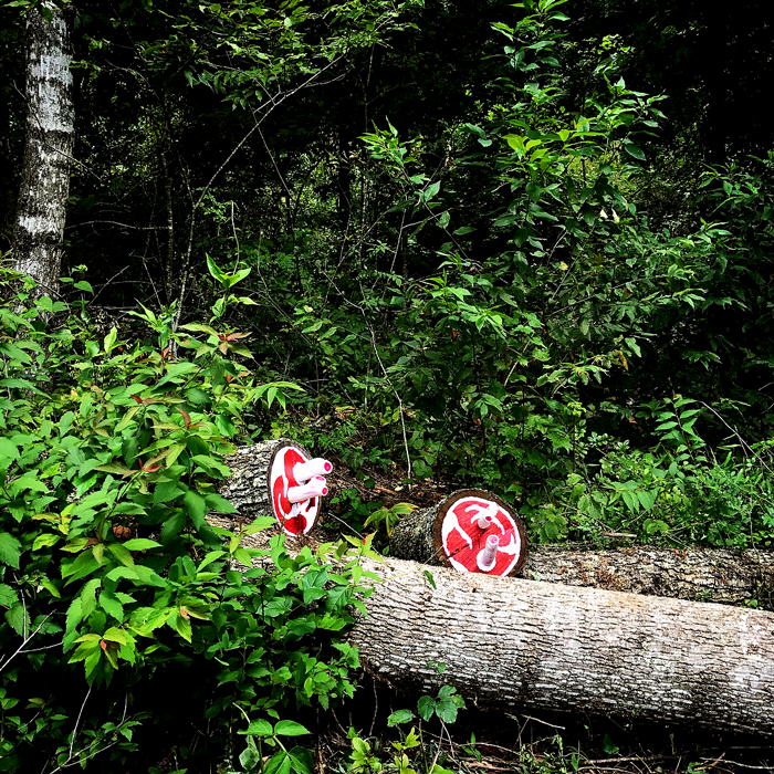 01-Log-Cuts-IMG_4878_700.png