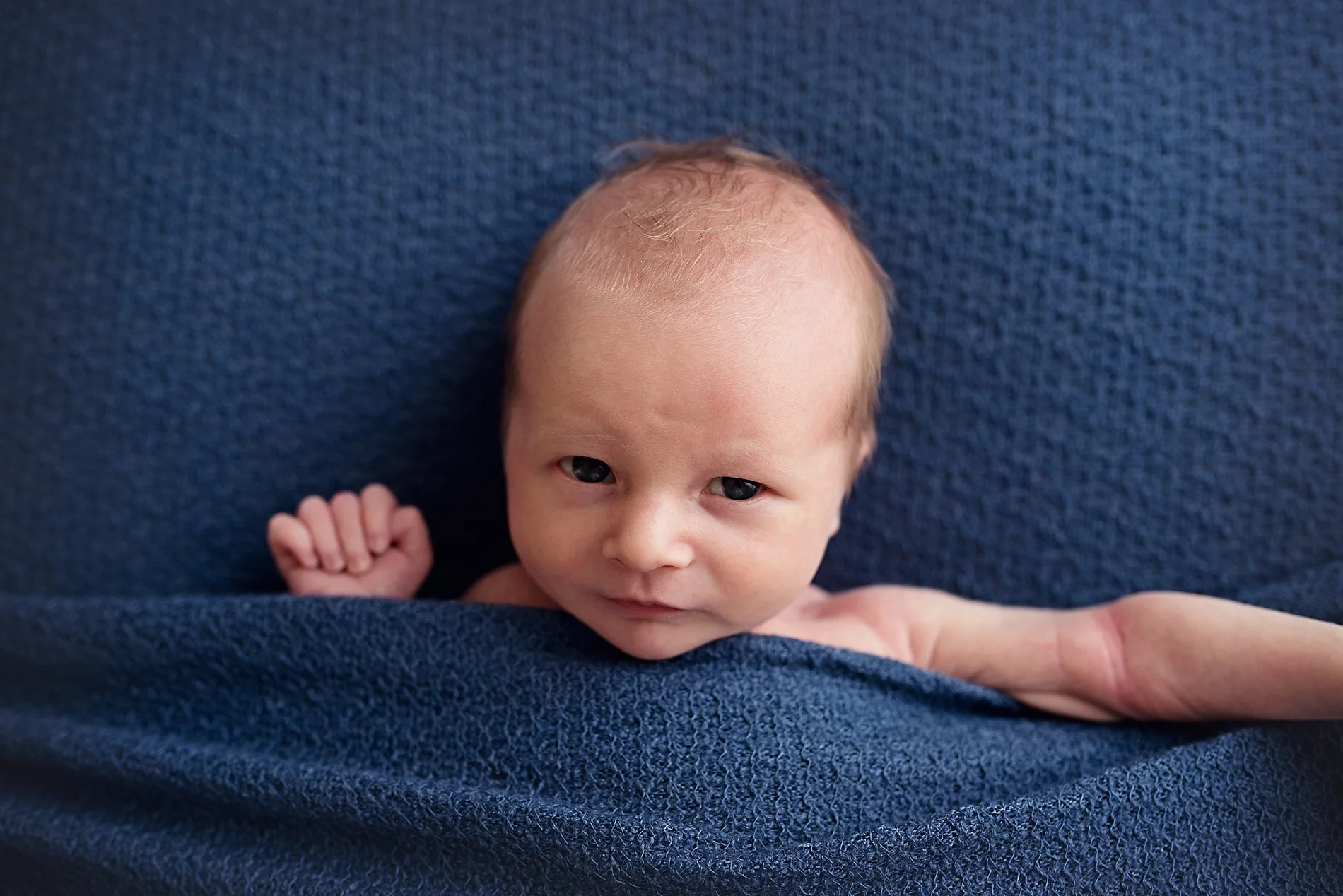 170112_NKnight_Fionn_0236_WEB.jpg