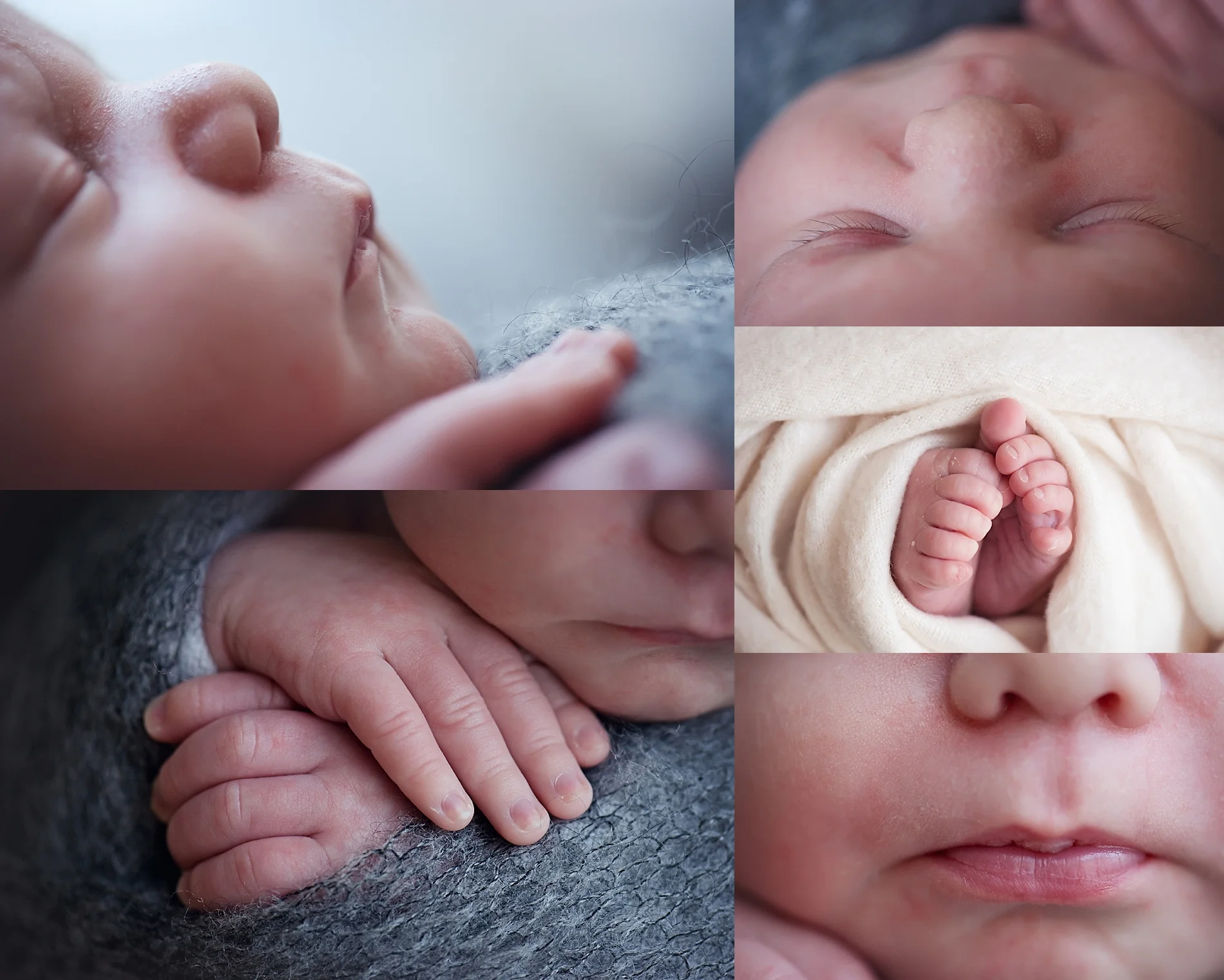 newborn photography