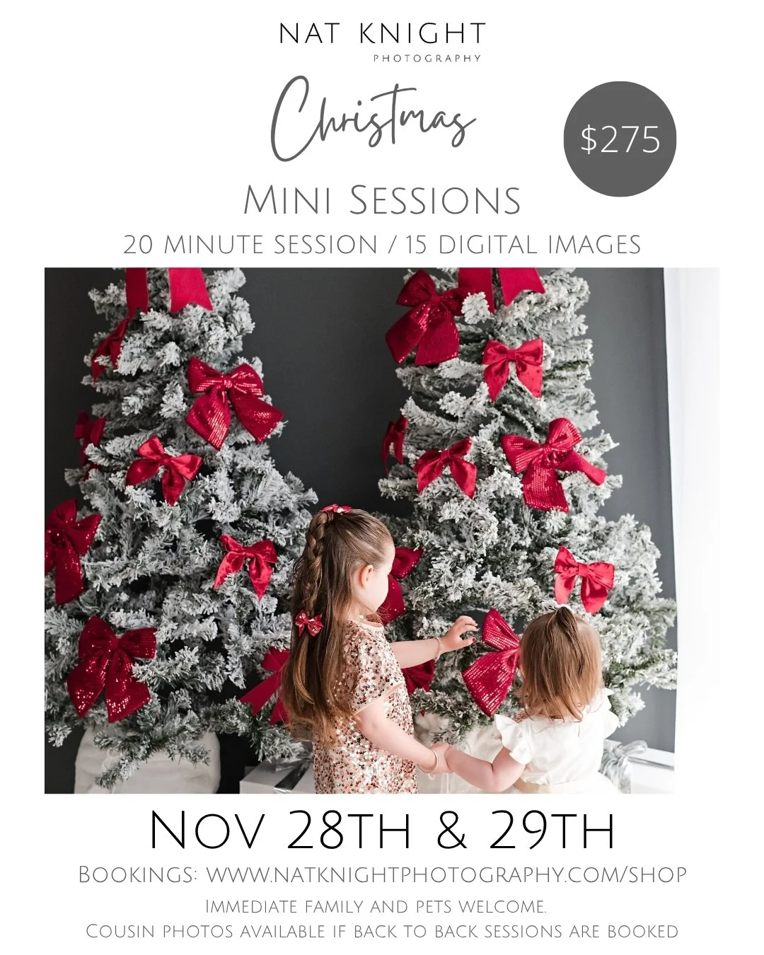 Saturday 28th November - 2026 Christmas Mini Session