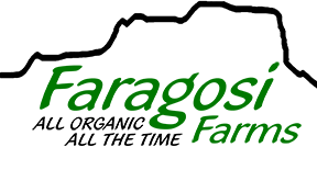 faragosi-logo.png