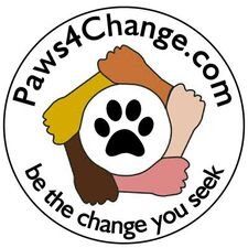 pawsforchage.jpg