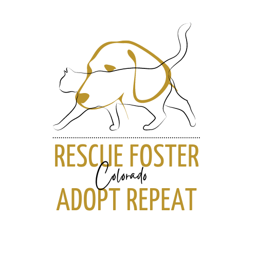Rescue Foster Adopt Repeat Colorado.png