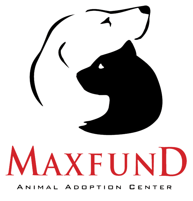 MaxFund_logo_TRANS.png
