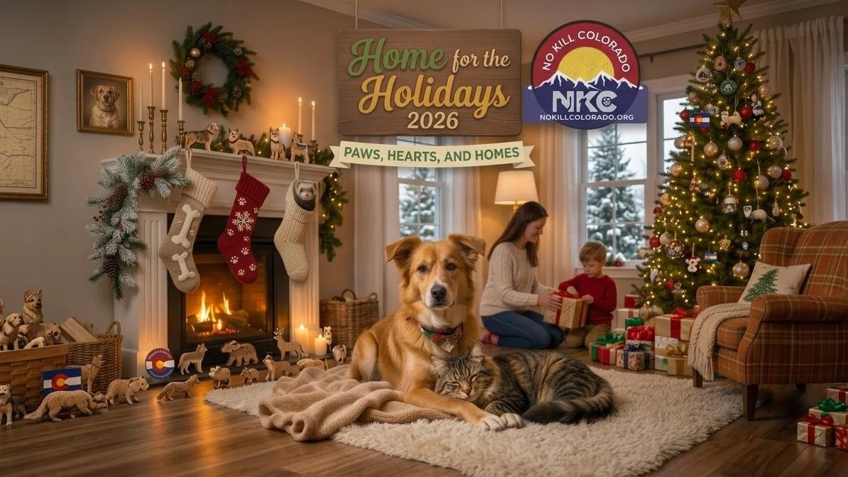 Home For The Holidays (2026)