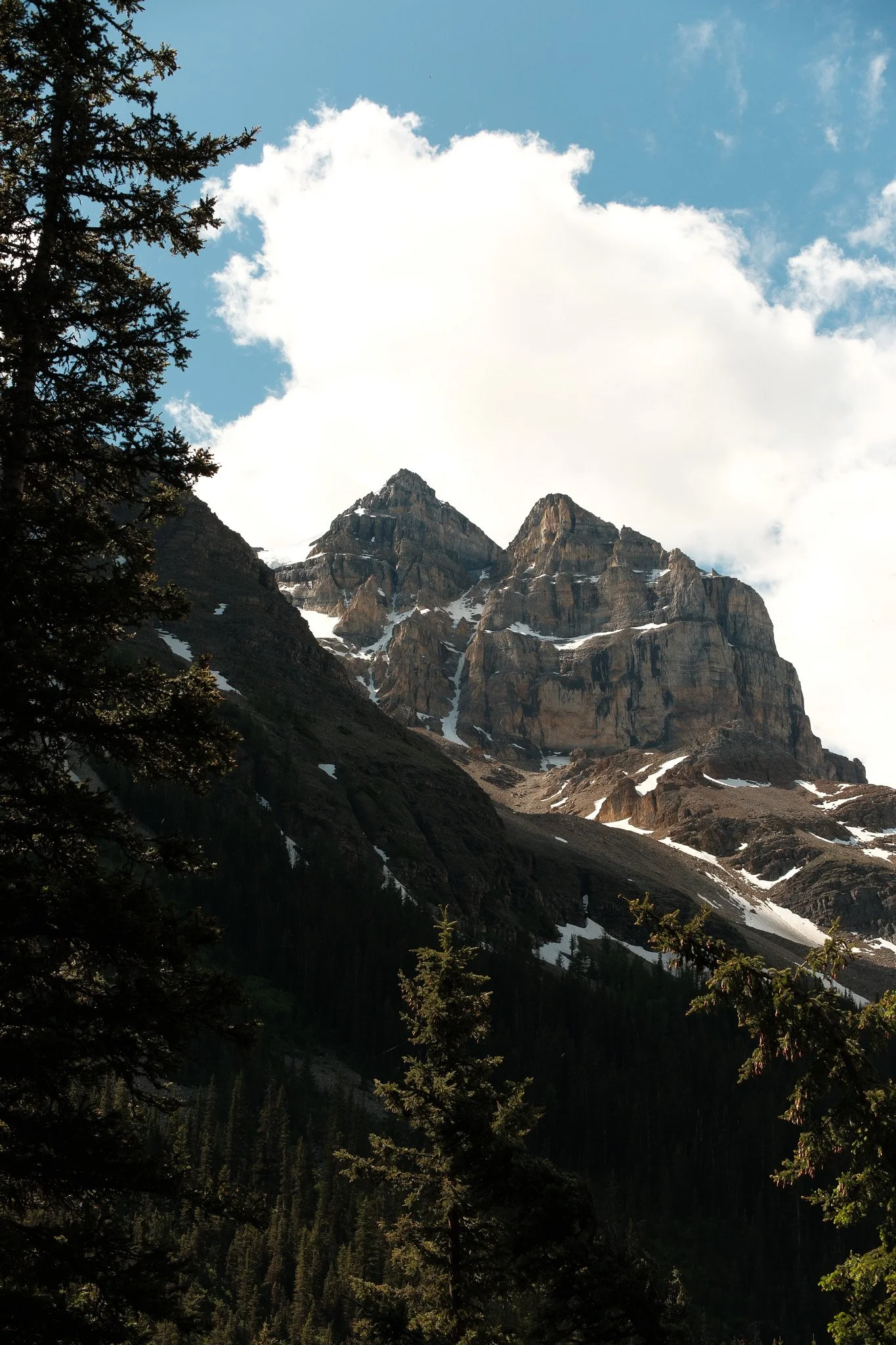 DSCF0873.jpg