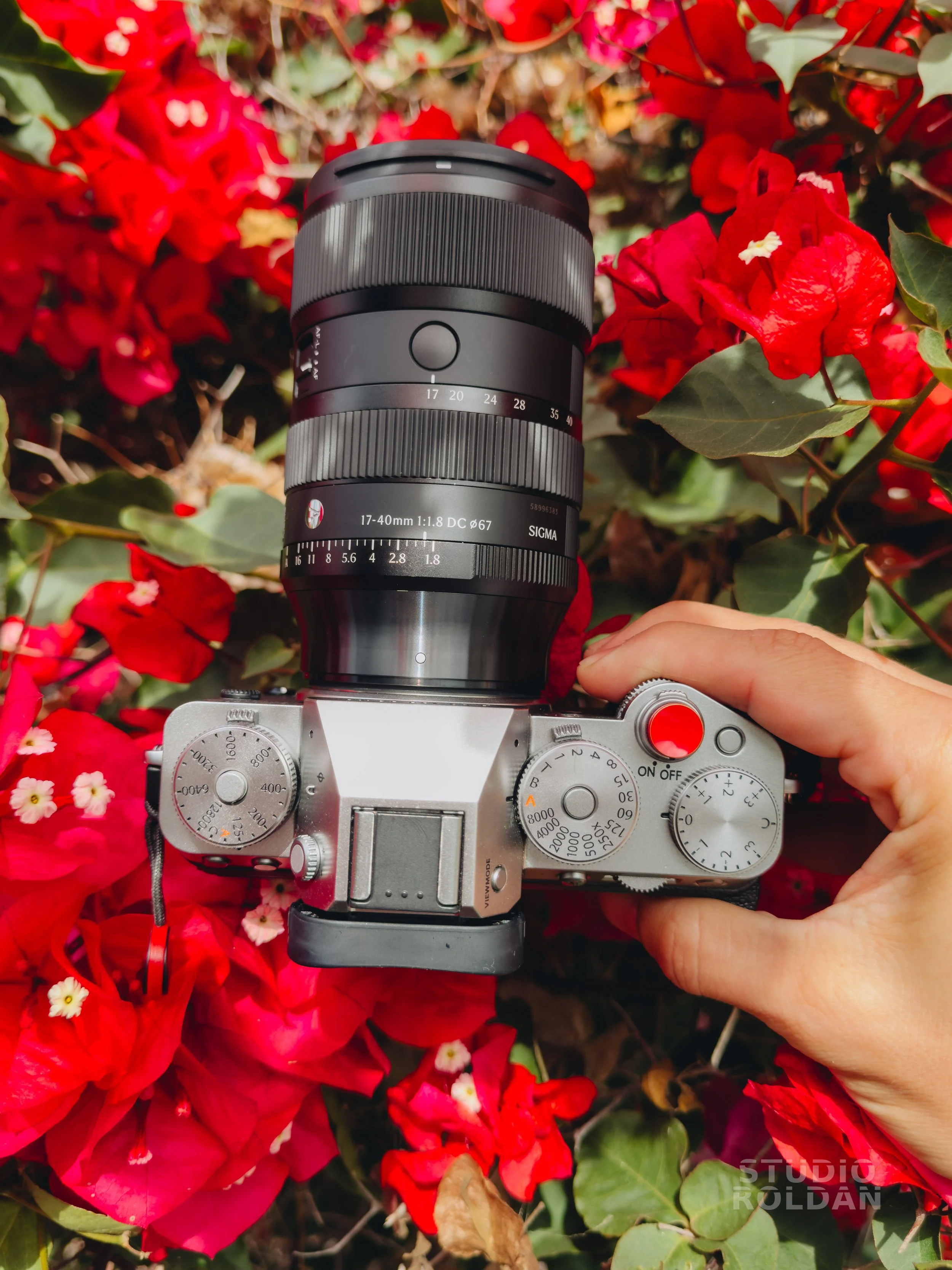 Sigma 17040 @litossshoots-20.jpg