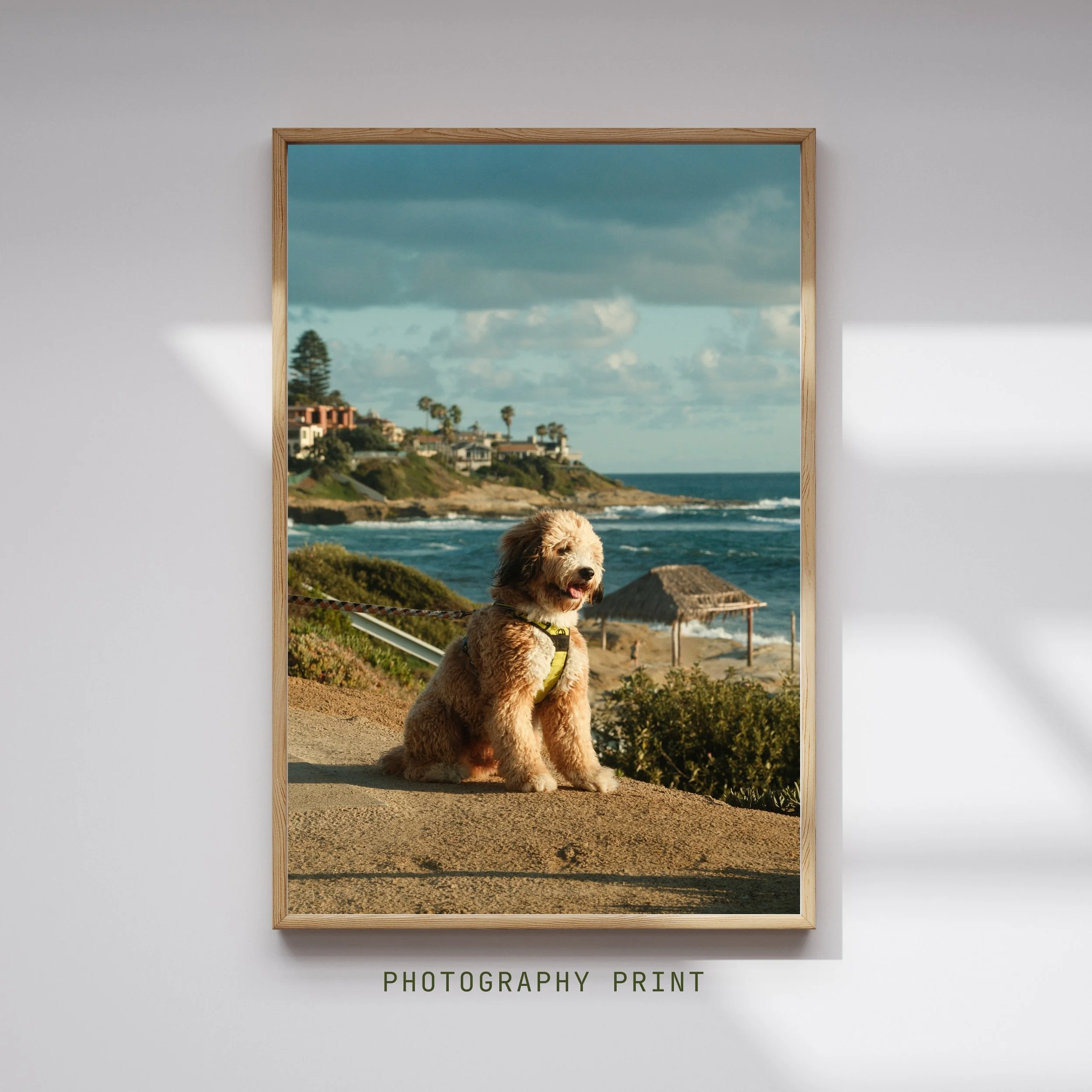 Black Luxury Photography Mockup Instagram Post.jpg