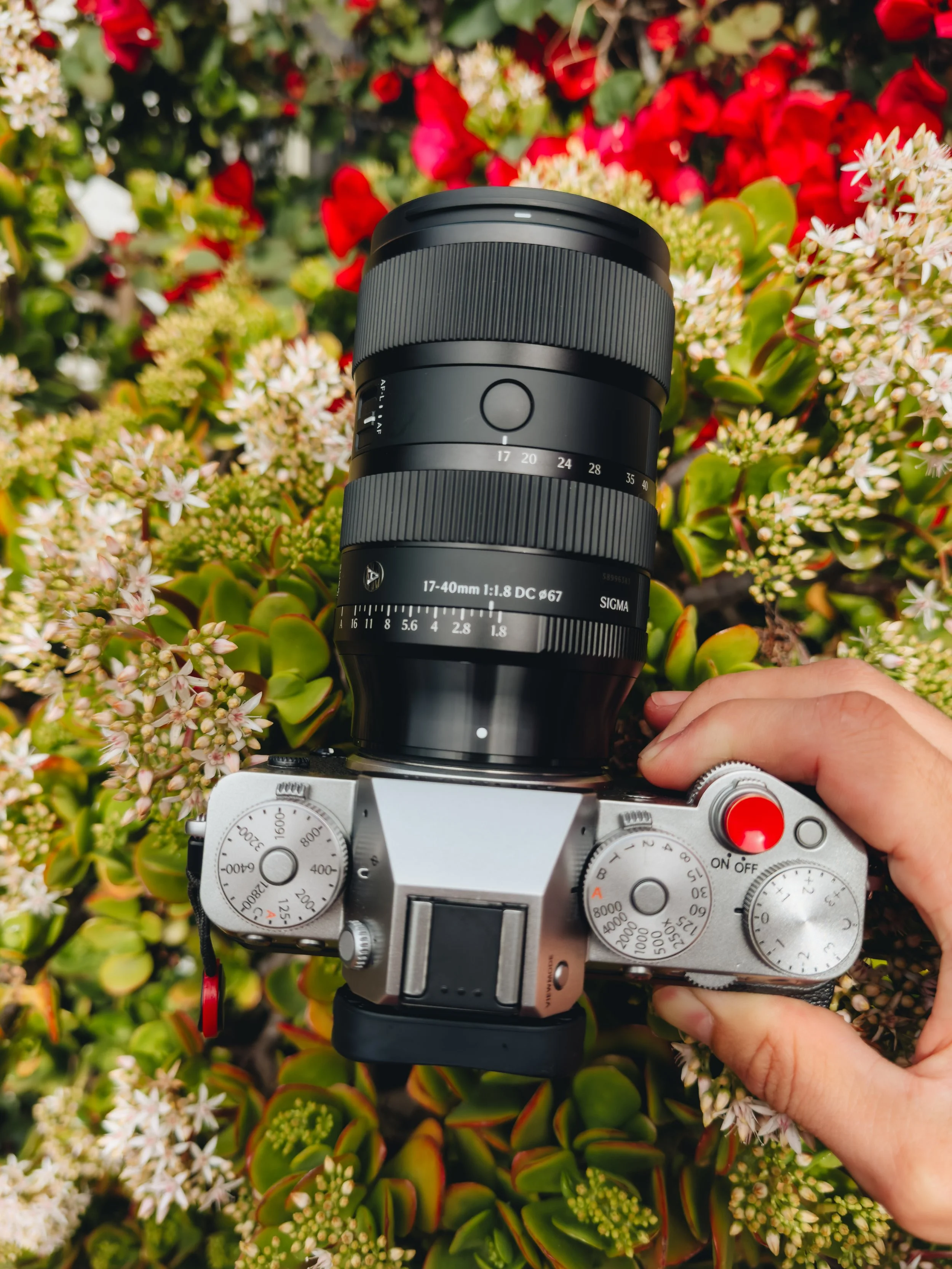 The Sigma 17-40mm f/ 1.8 Art DC