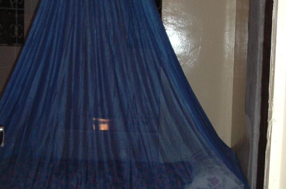Mosquito Net Program – Cost Effective Prevention