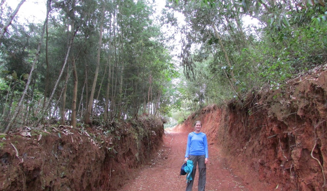Erosion Control Projects