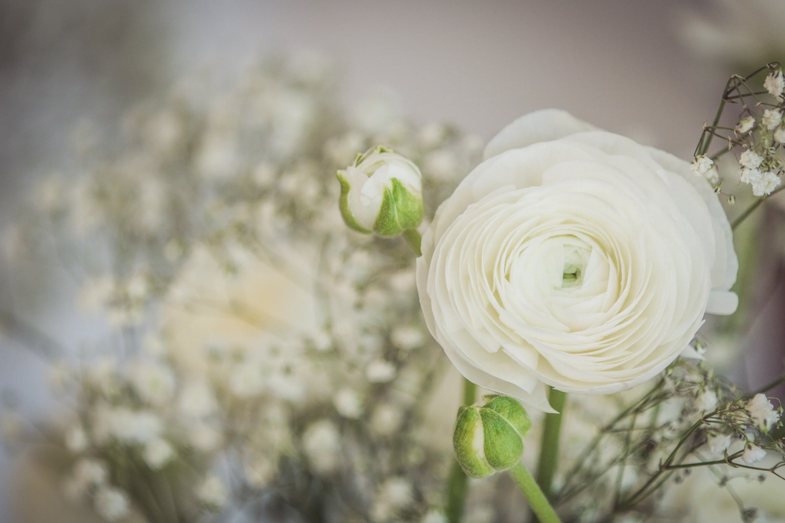 Laura & Dyllan's Wedding-8.jpg