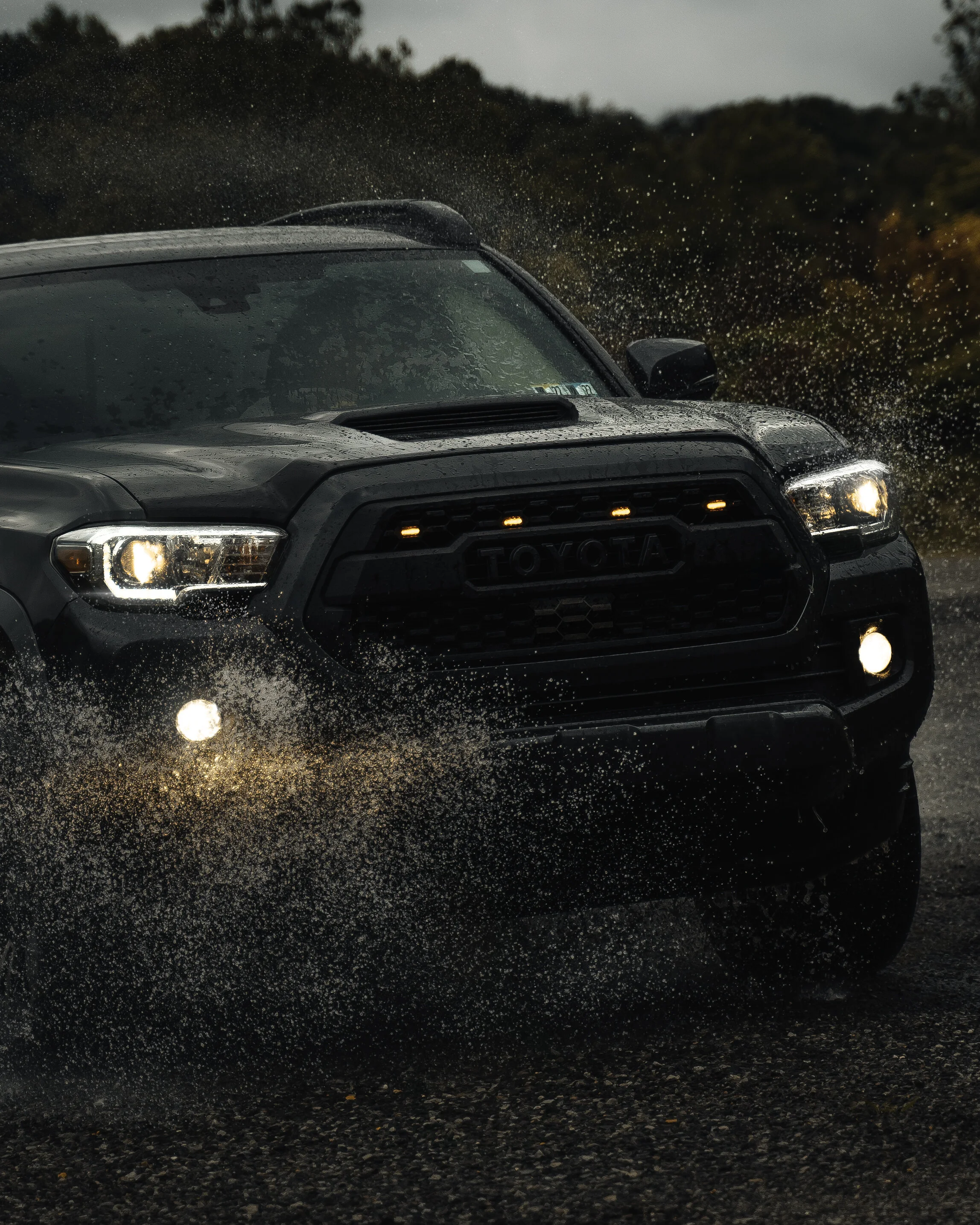 2019 Toyota Tacoma TRD Sport build parked in a snowy wooded setting, showing the TRD 4x4 Sport bed graphic, bed rack setup, off-road tires, and winter adventure stance photographed by Ian Jones for ISJDESIGNS.