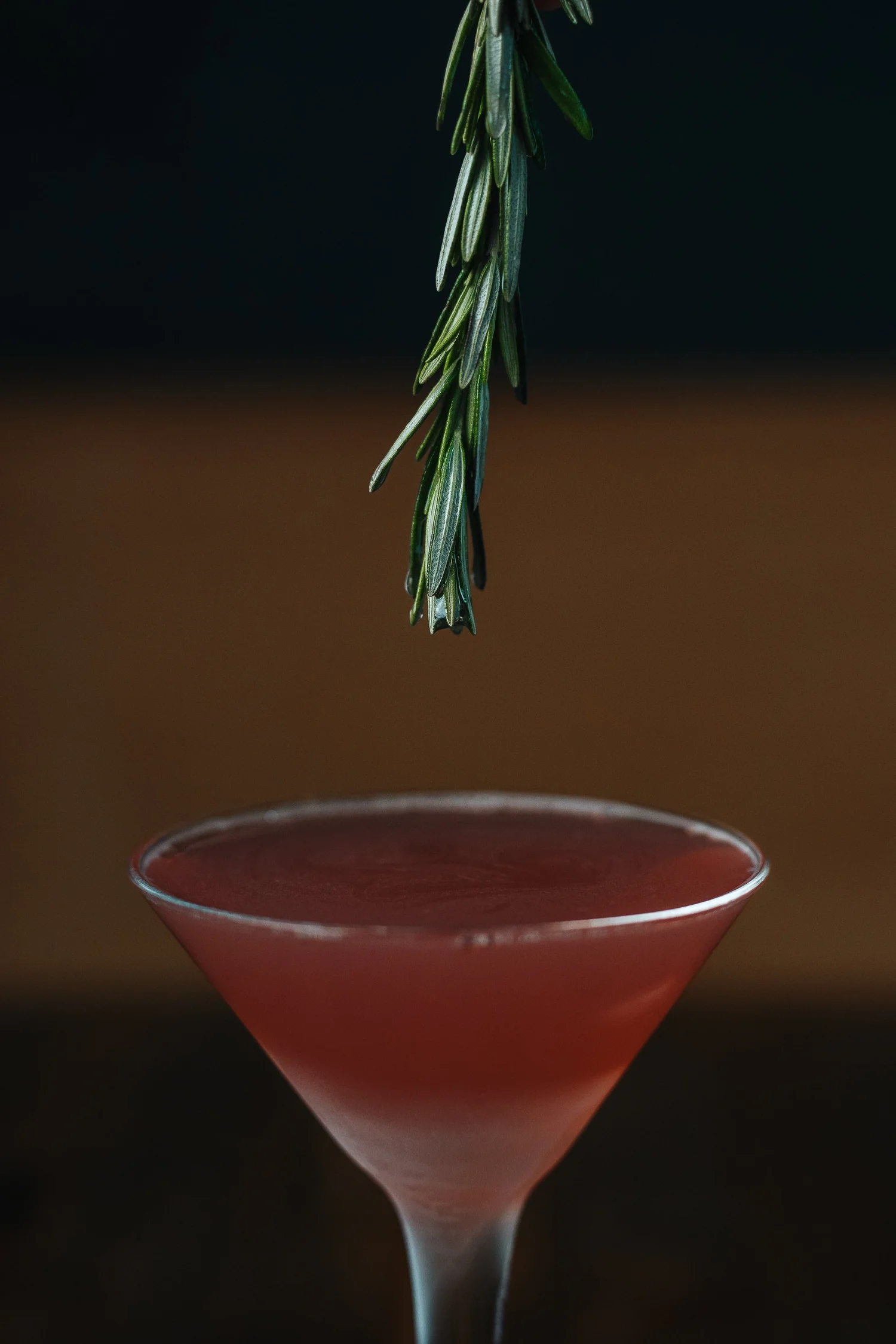 Pink cocktail in a coupe glass beneath a hanging rosemary sprig, cocktail photography for hotel bars, restaurants, and hospitality marketing.