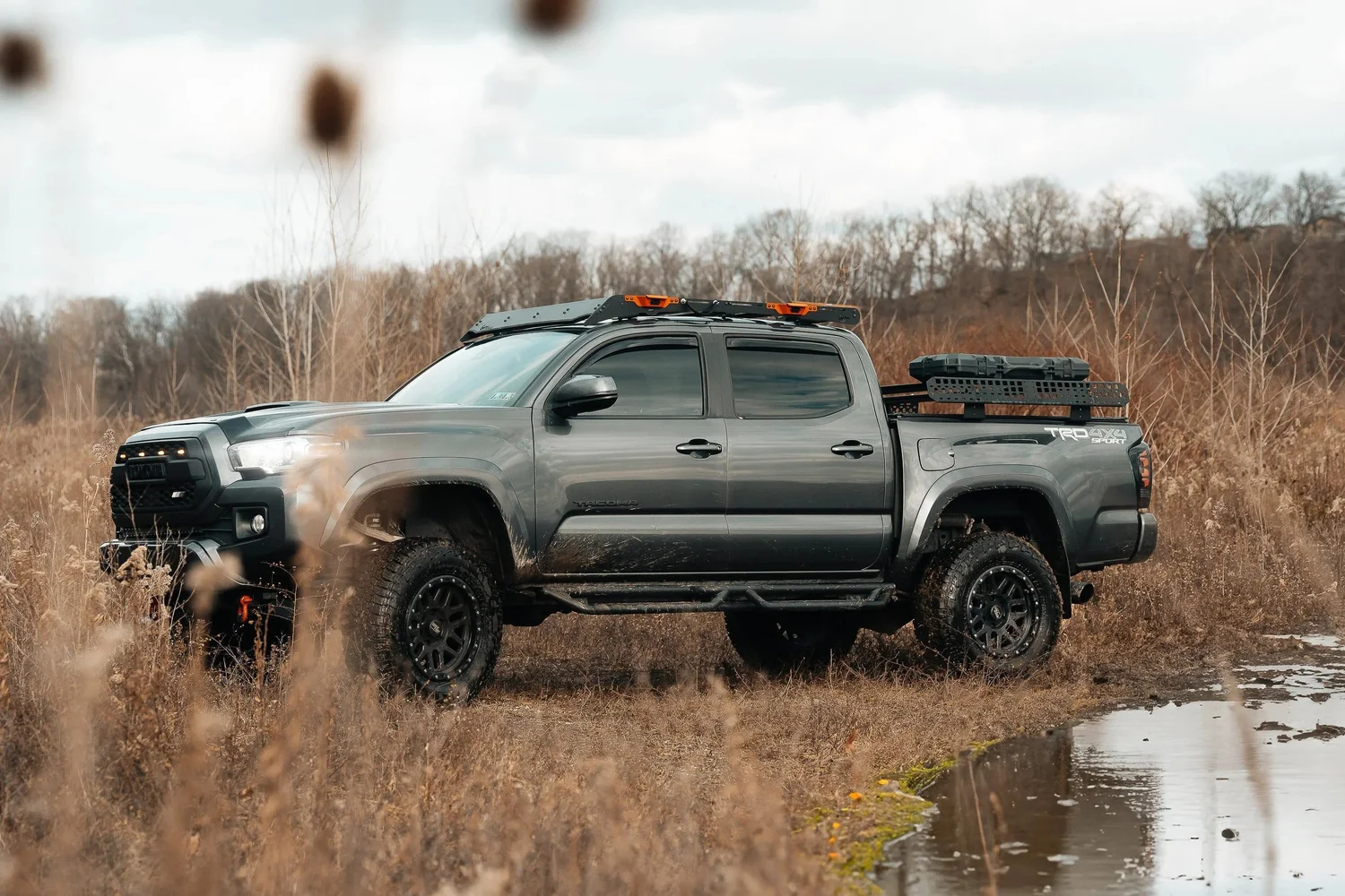Prinsu roof rack and Billie Bars bed rack on a 2019 Tacoma, both systems in frame. Ian Jones, ISJDESIGNS.