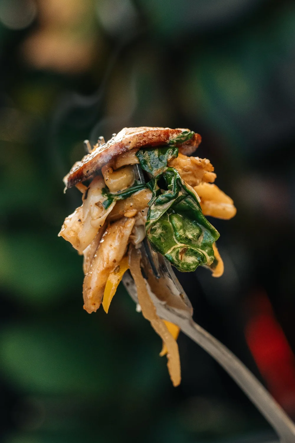 Steaming forkful of creamy chicken and spinach pasta in close-up, Pittsburgh food photography by Ian Jones.