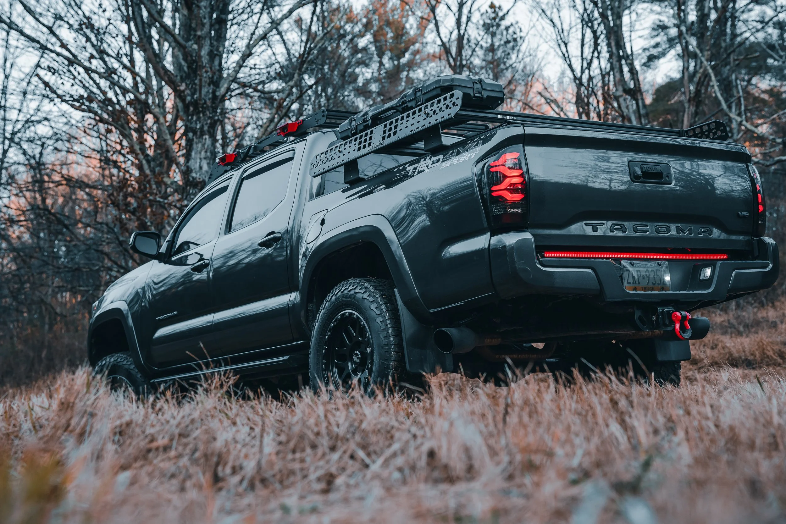 Rear view of a 2019 Toyota Tacoma TRD Sport featuring AlphaRex tail lights and Billie Bars bed rack, shot off-road for rugged capability, photographed by Ian Jones for ISJDESIGNS.
