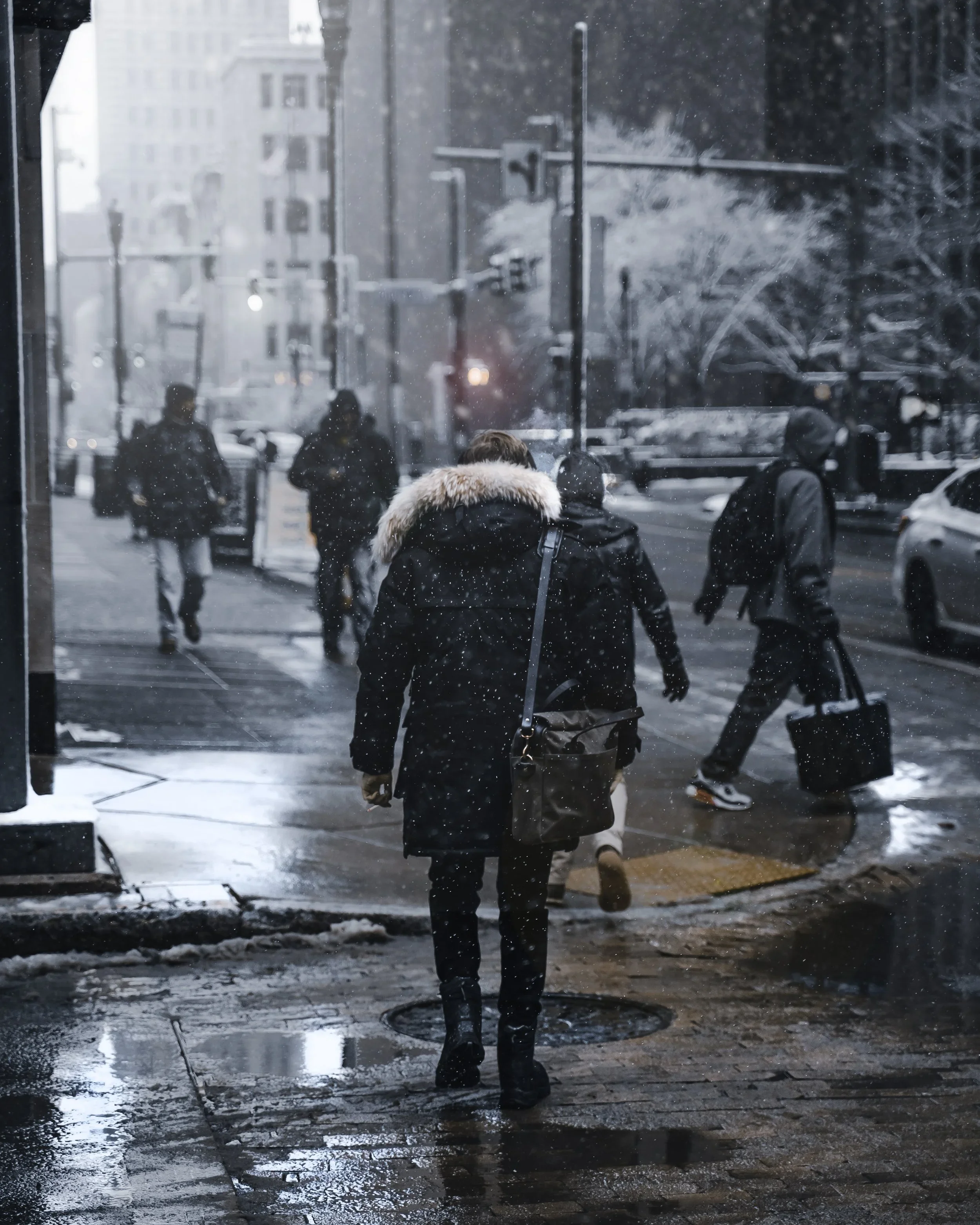 Cold Tones preset on a wet downtown crosswalk under overcast Pittsburgh light