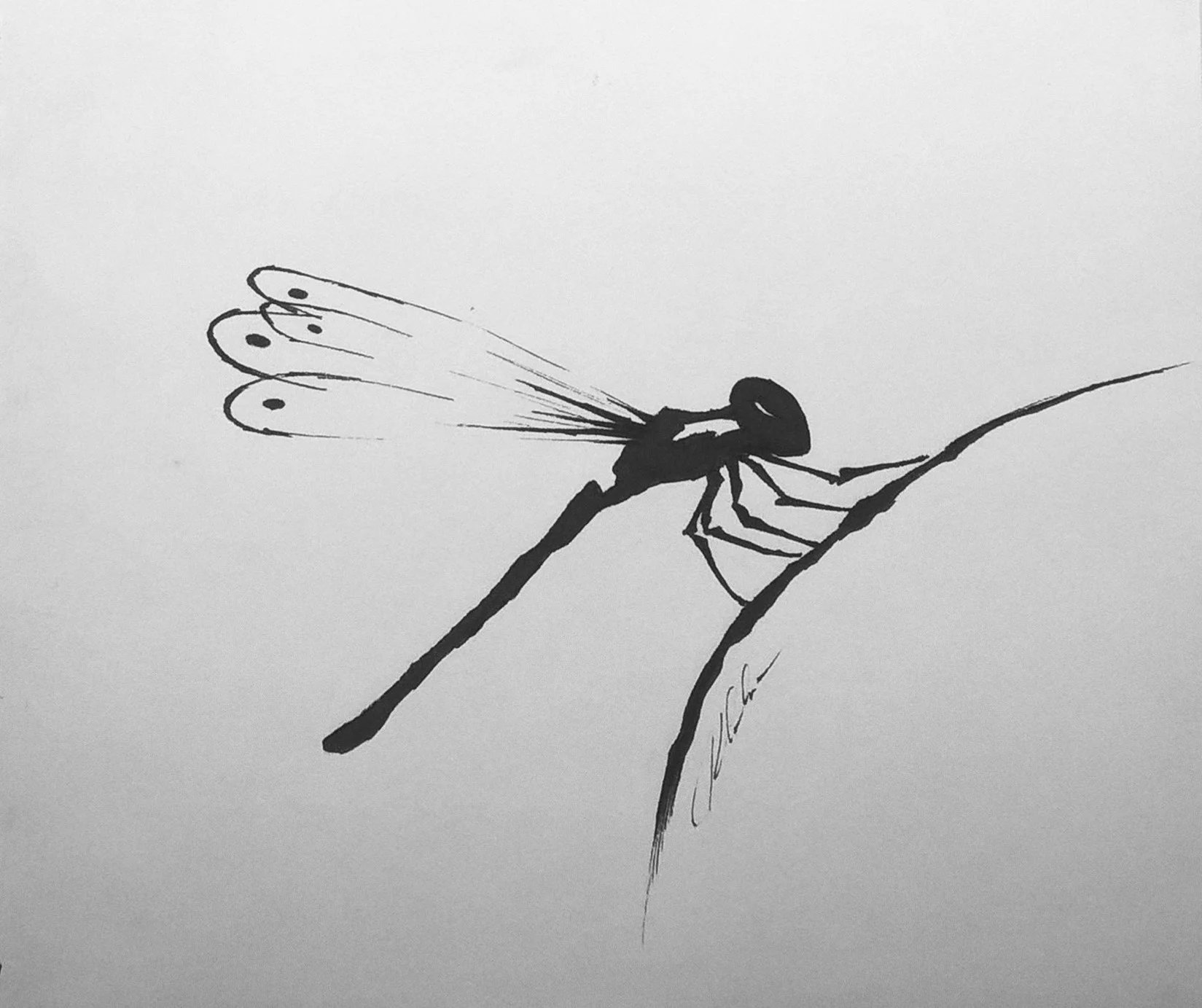 Fragility