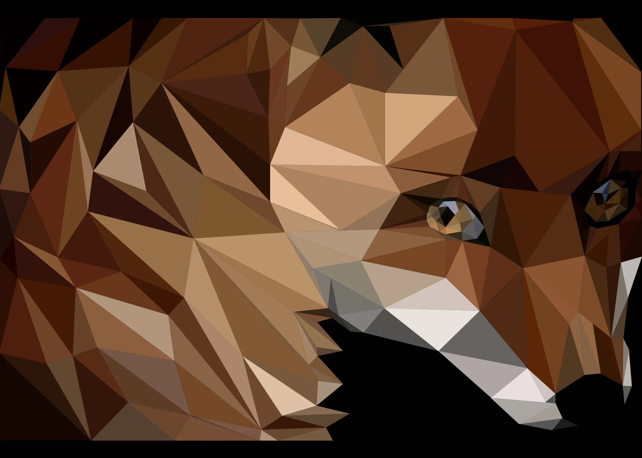 Geometric Fox