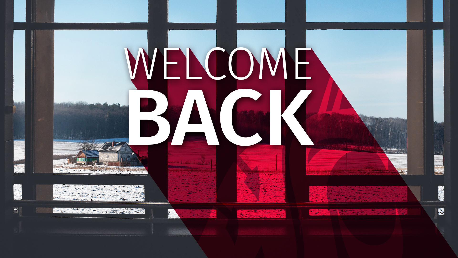 Welcome Back