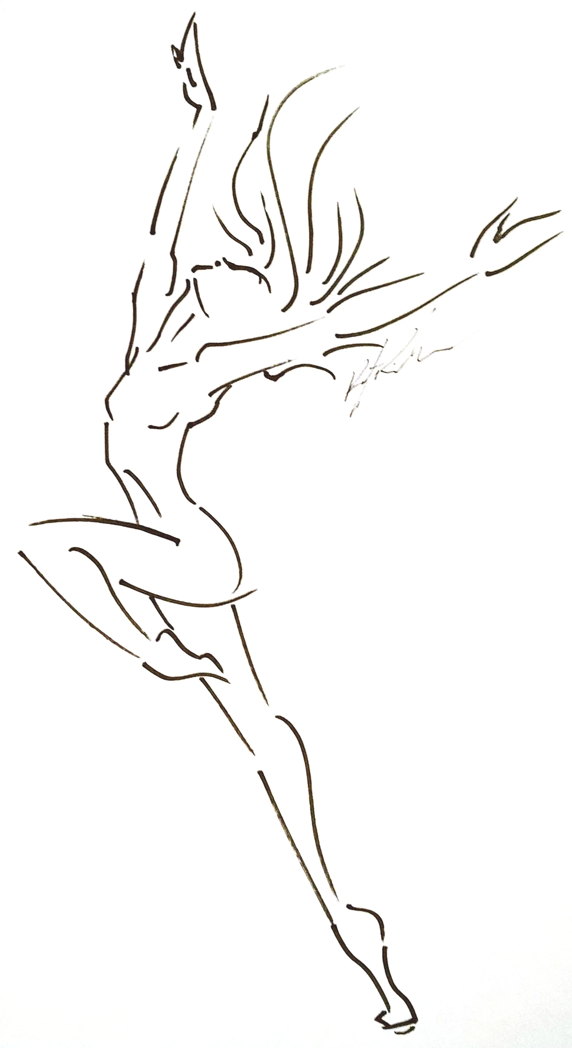 Free.jpg