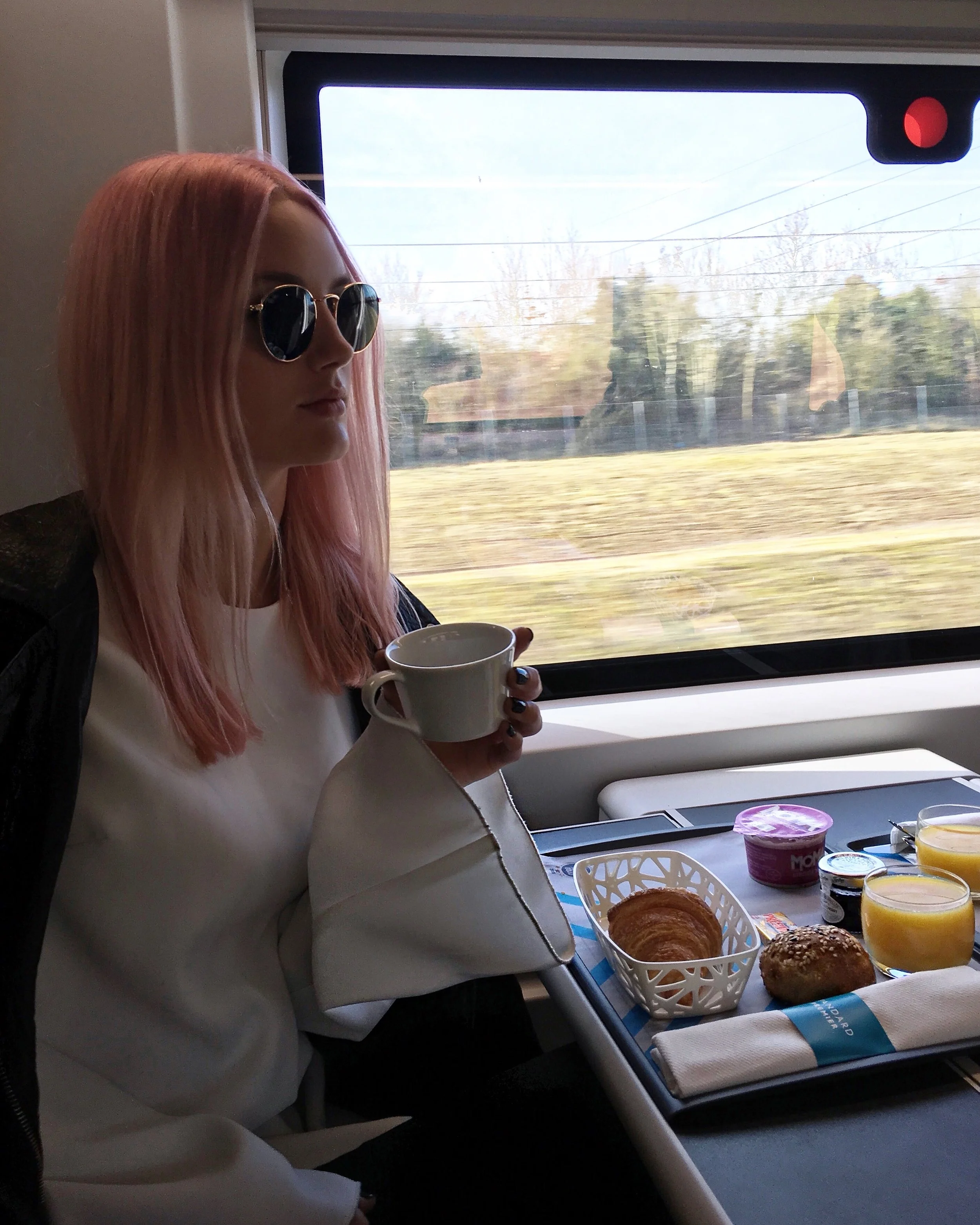 TRAIN TRIP FROM LONDON > PARIS