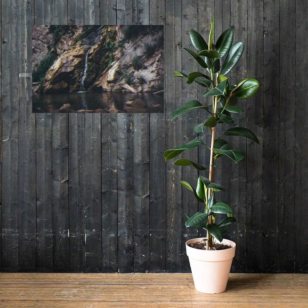 enhanced-matte-paper-poster-(in)-24x36-lifestyle-2-64100d4e4c210.jpg
