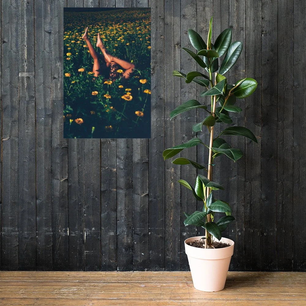 enhanced-matte-paper-poster-(in)-24x36-lifestyle-2-64127032d591b.jpg