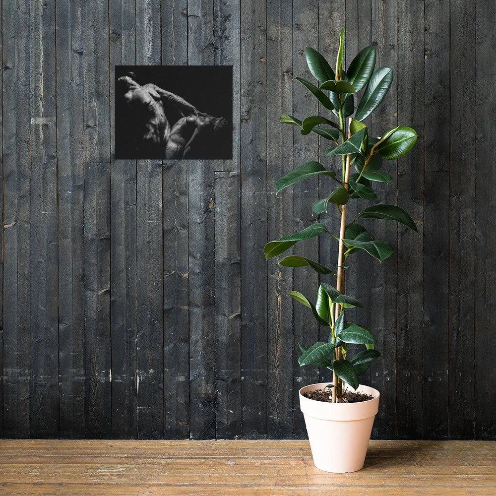 enhanced-matte-paper-poster-(in)-16x20-lifestyle-2-6412790026f0f.jpg