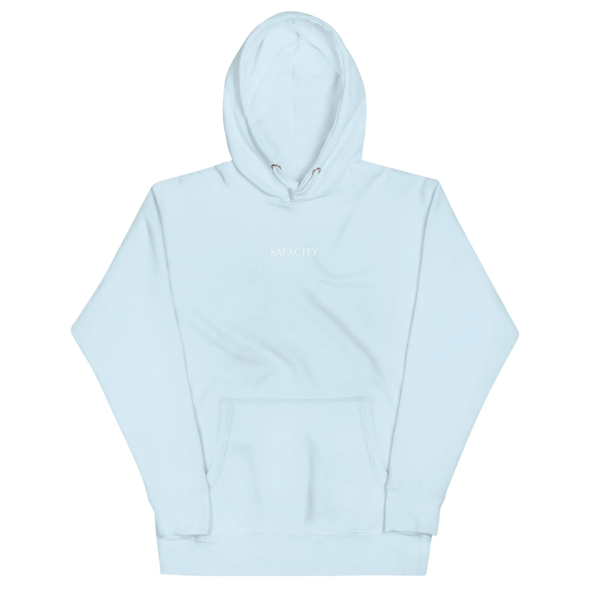 unisex-premium-hoodie-sky-blue-front-641fcbda04838.jpg