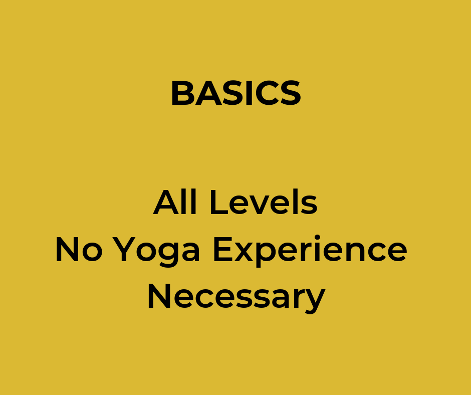 Basics.png