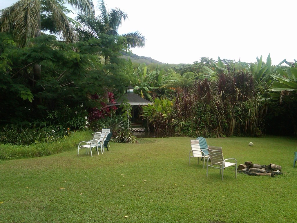 Our "backyard"