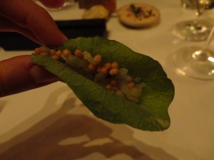 Sturgeon Seaweed Rice Taco