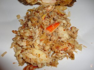 Dungeness Crab