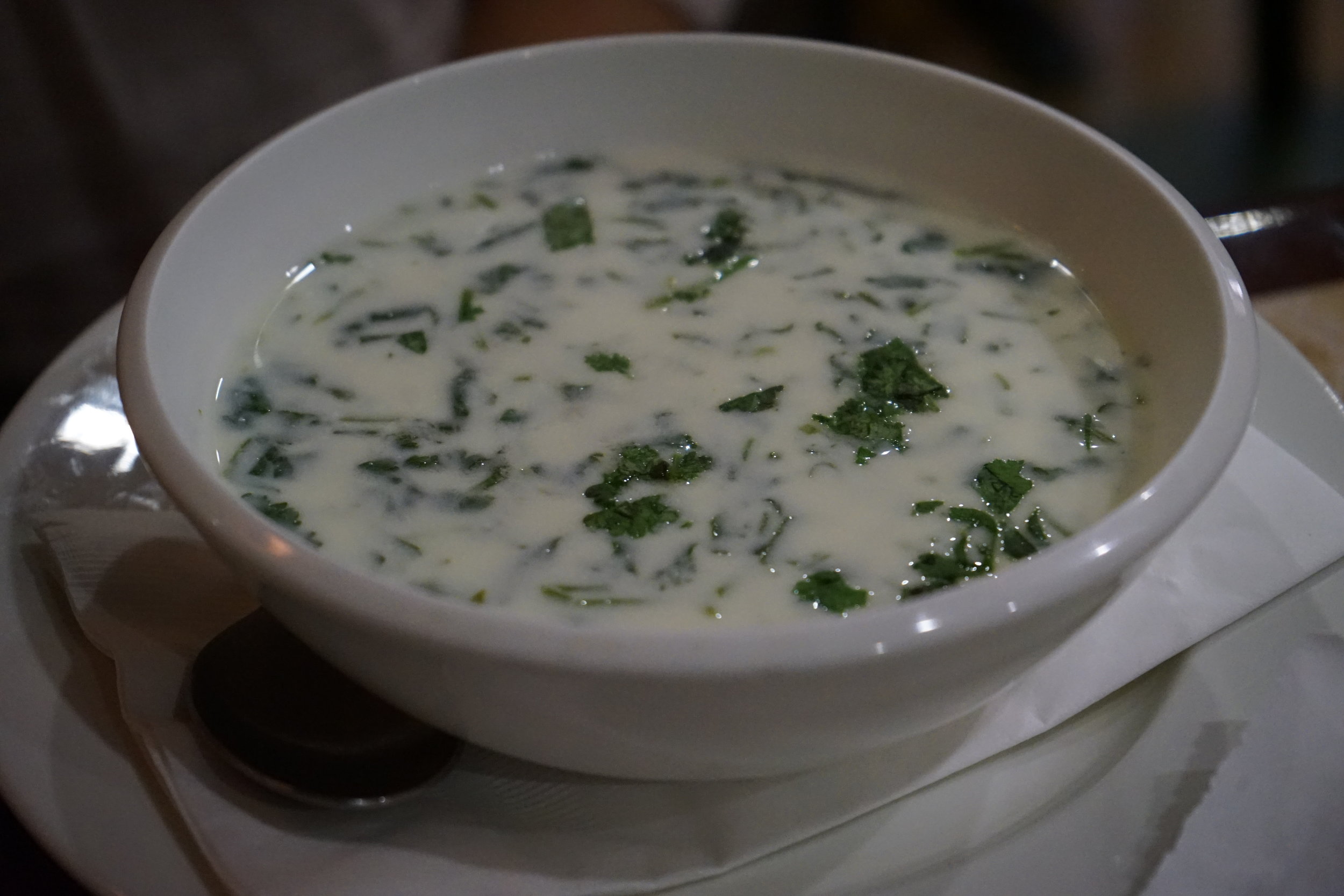 Yogurt Soup