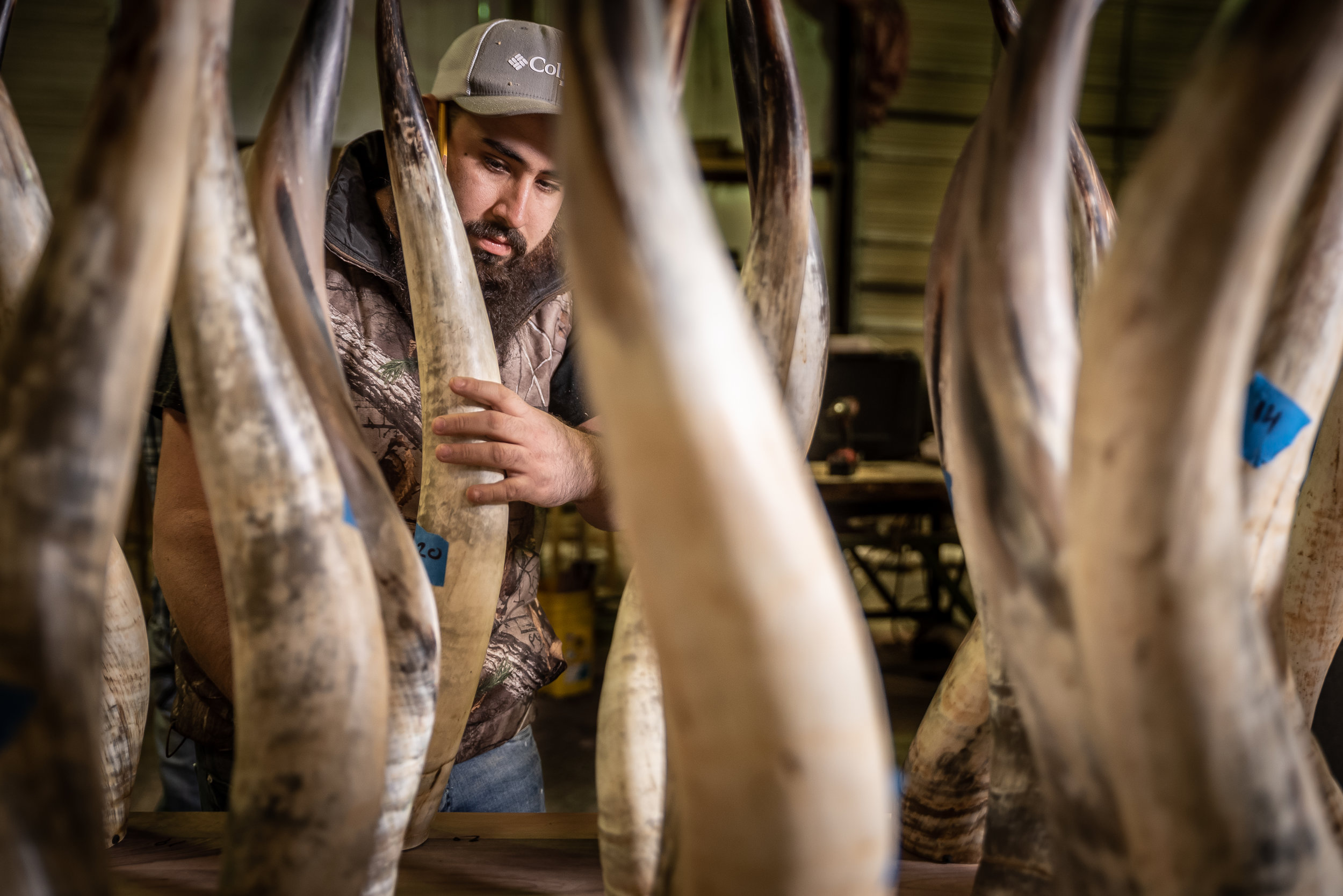 Paul Michael Company - Where the Magic Happens 