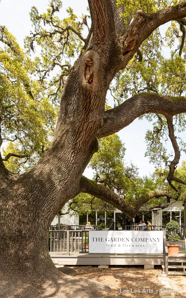 The Garden Company’s Feed and Firewater offers a variety of creative lunch and dinner options, and a deck where you can marvel at the looming tree overhead. Photo by Ashlee Nobel, Lee Lee Arts + Design