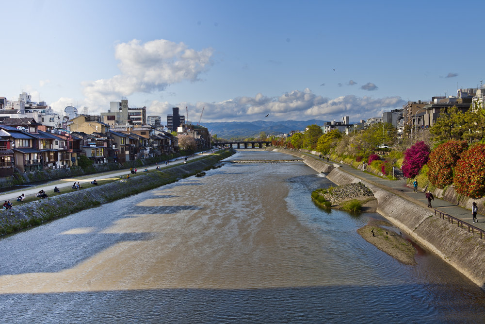 kyoto kamogawa.jpg