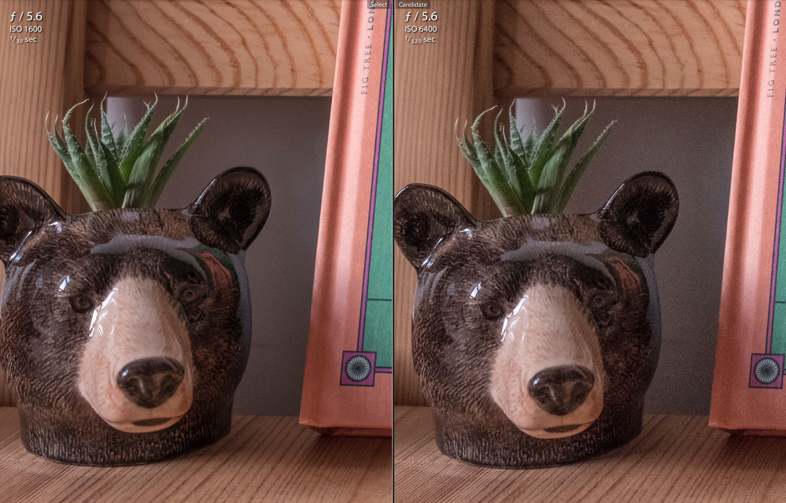fuji-iso-test-image.png