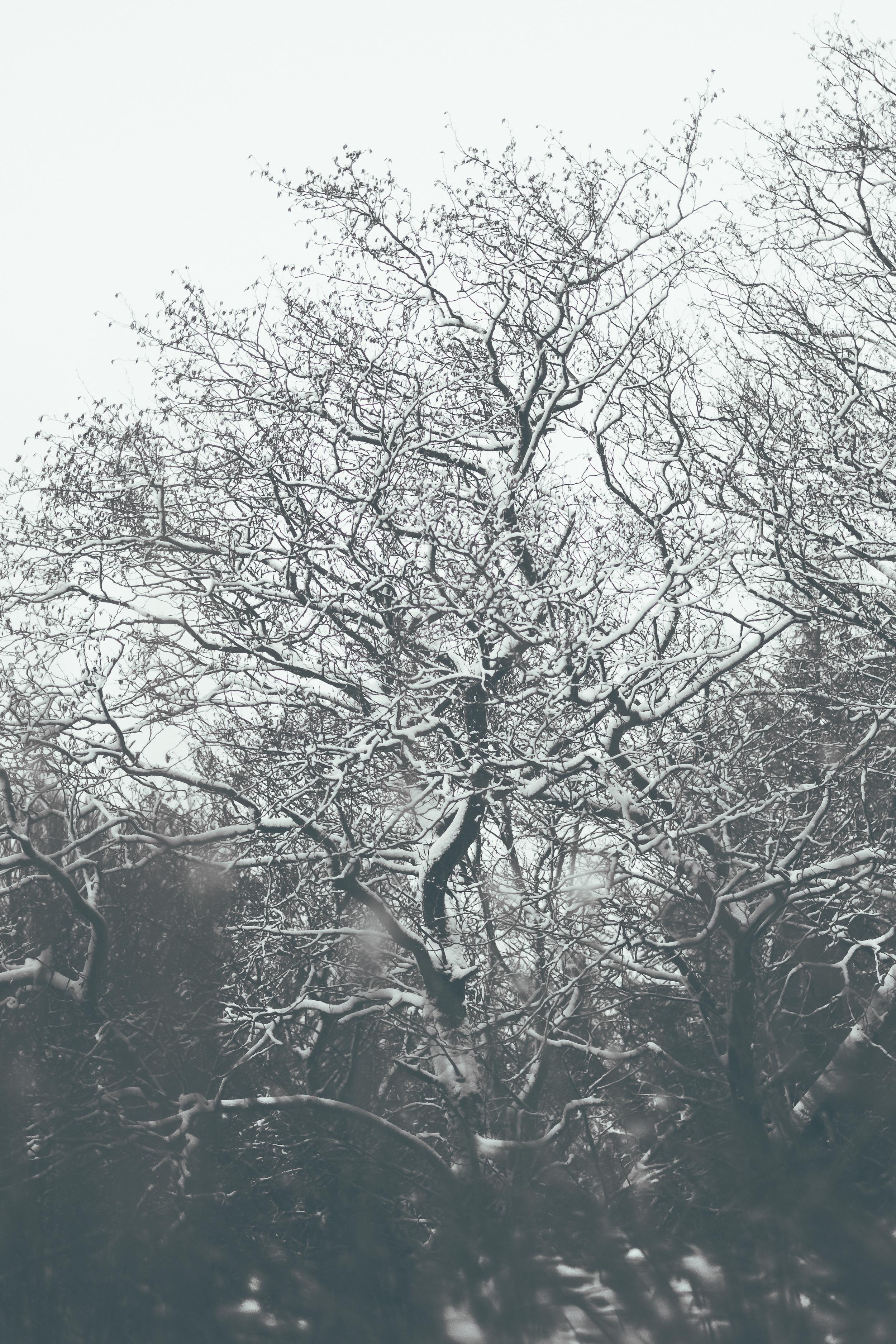 Winter on Win Hill 2017