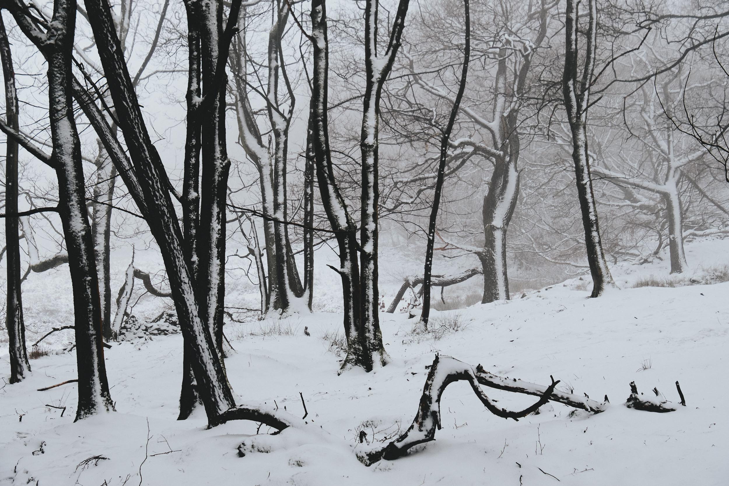 Winter on Win Hill 2017